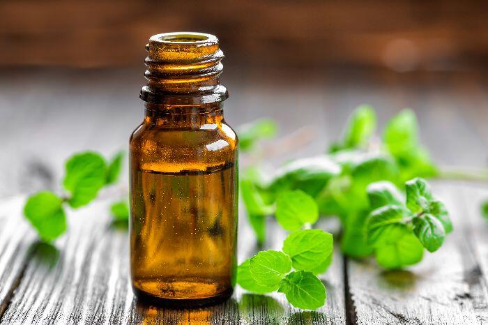 The Nutritional & Hair Care Benefits of Spearmint Oil